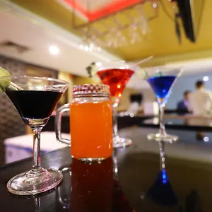 Hotel Airport Ramhan Palace Mahipalpur New Delhi